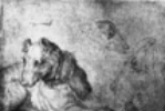 1520/21 Hunde (Zeichnung 460K)