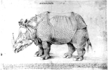 1515 Rhinozeros (Feder 22K)